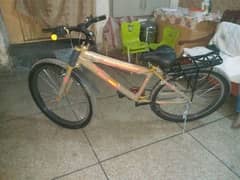 Brand new Cycle just purchase 0