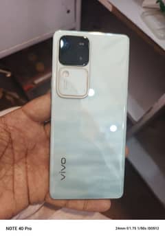 vivo