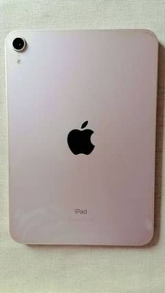 i pad mini 6