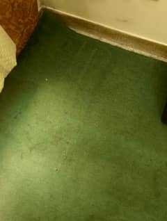 carpet