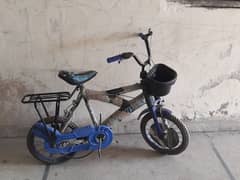 cruiser cycle 03088277254