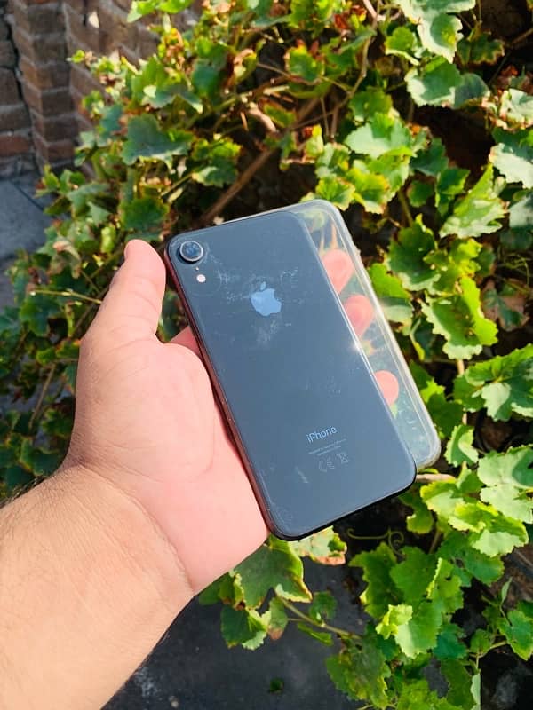 iPhone XR 1