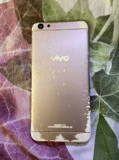 vivo