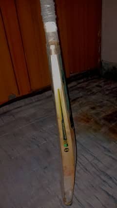 ENGLSIH WILLOW ss bat