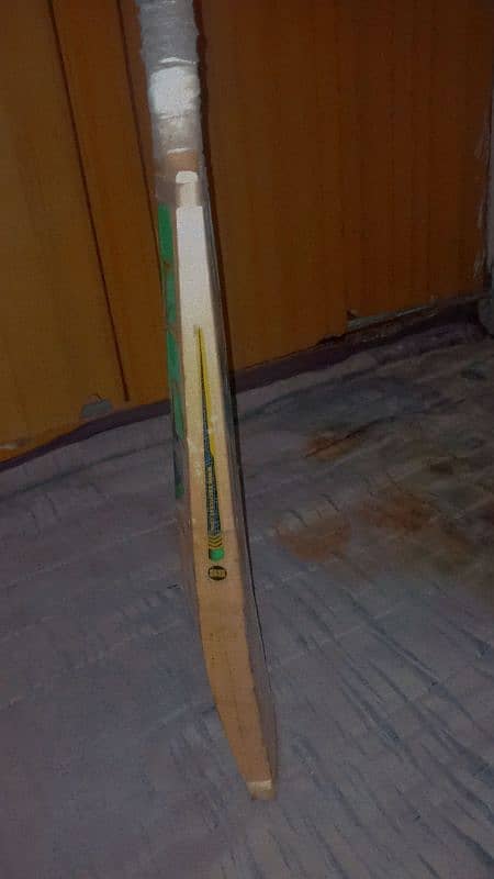 ENGLSIH WILLOW ss bat 3