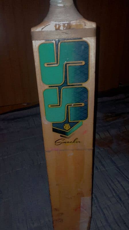 ENGLSIH WILLOW ss bat 7