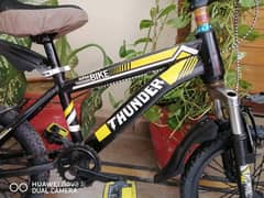 Cycle Thunder 16 Size