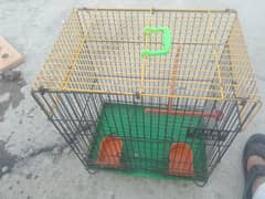 Cage/ pinjra