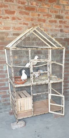 cage for sale