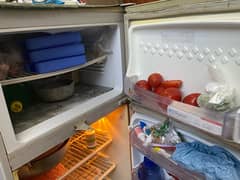 PEL REFRIGERATOR FOR SALE