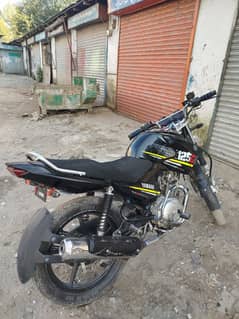 YAMAHA YBR 125-G (2017) MODEL