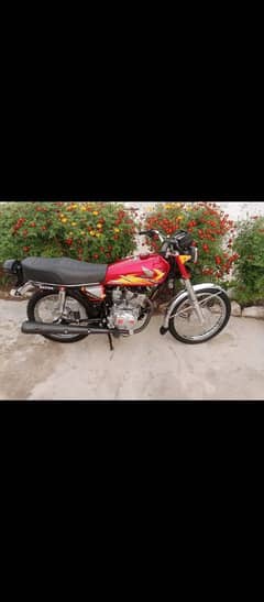 Honda  bike selling