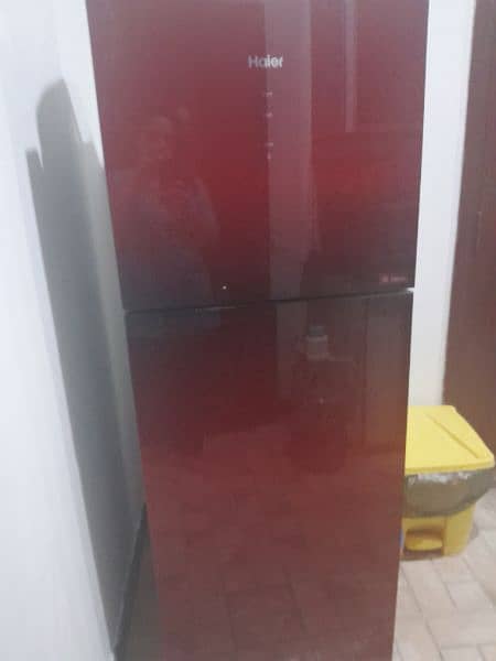 Hier fridge beautiful color for sale 3