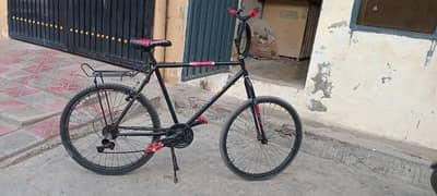 phoneix bicycle