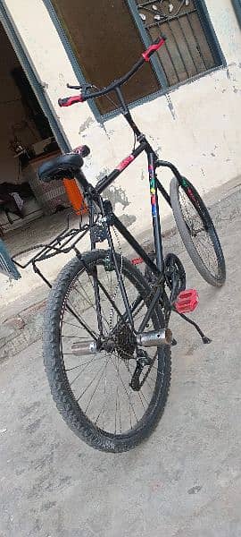 phoneix bicycle 1