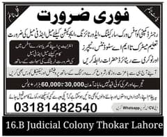 Required Male/Female staff for our office in Lahore