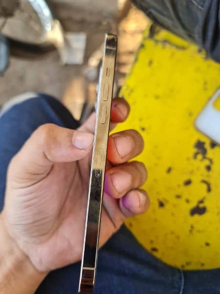 Iphone 12 pro max 265 gb pta approved 1