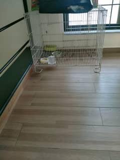 Cage for sale