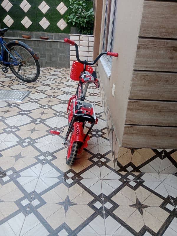 Kid bicycle 2