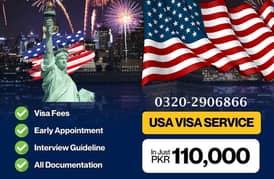 USA VISA SERVICES