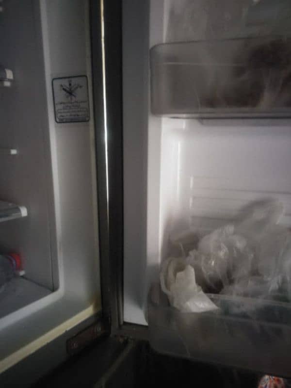 jamboo size refrigerator 2