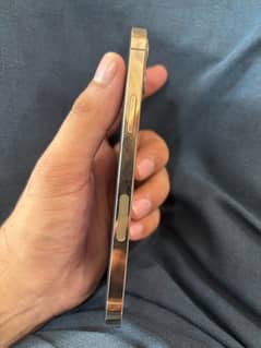 Iphone 12 pro 256gb 0