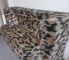 MoltyFoam Covered Sofa Cum - bed