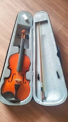 violin