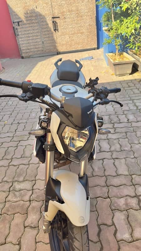 benelli 150i 3