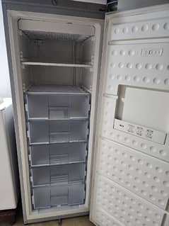 CAREVELL VERTICAL  FREEZER