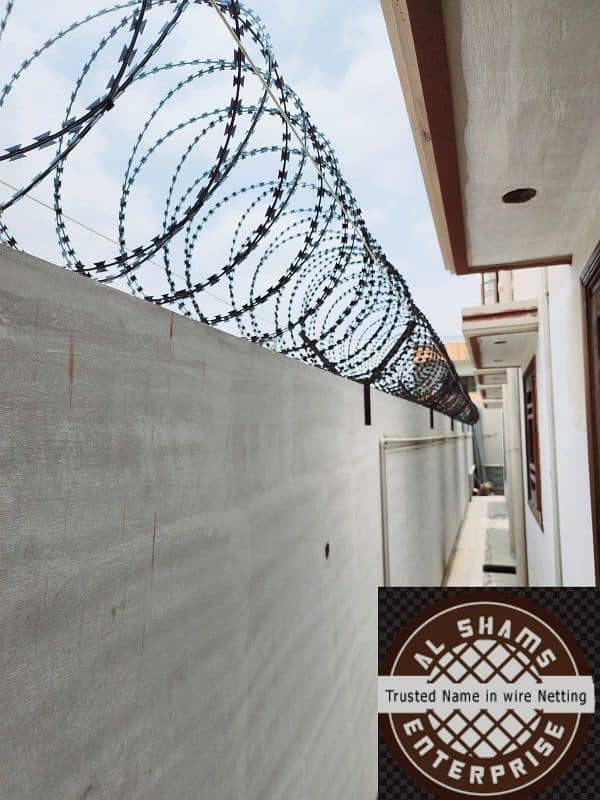 Razor wire - Barbed wire - Metal fabrication - Conveyor belt 3