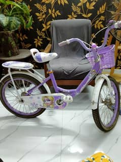 kids bicycle