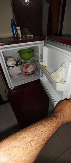 Orient refrigerator 0