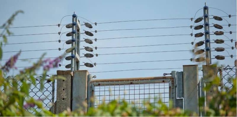 Electric fence | Razor wire & Barbed installation| SS MESH 1