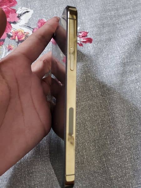 iphone 12 pro factory 256gb 1