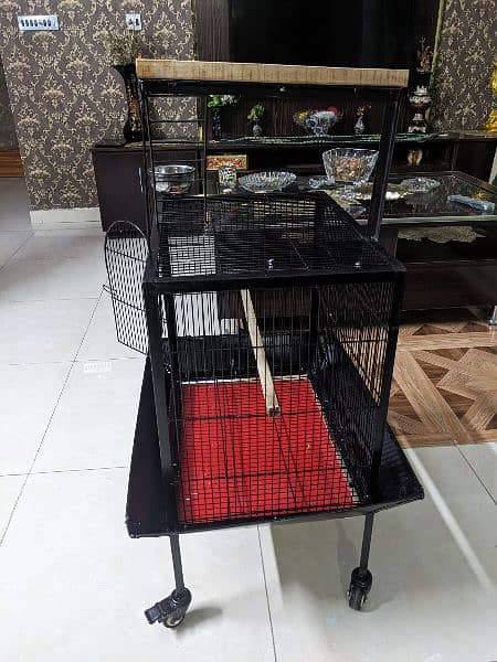 new bird cage 1