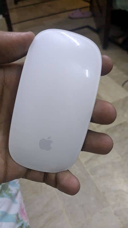 Magic Mouse-2 (Apple) 2