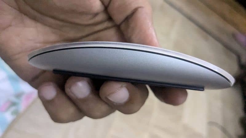 Magic Mouse-2 (Apple) 4