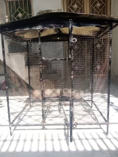 cage for parrots