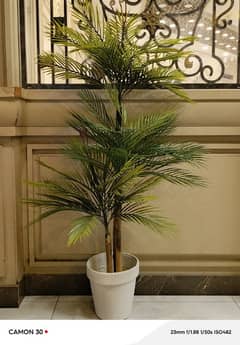 artificial pum plant bamboo