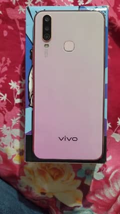 vivo