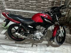 YAMAHA Ybr 2019 model mint condition 0