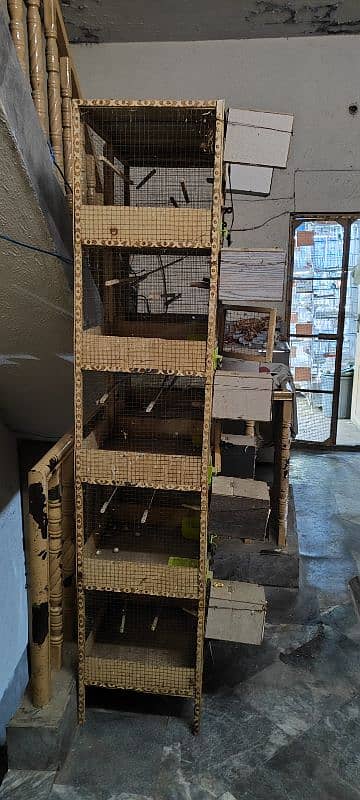 wooden cage for sale pinjara 1