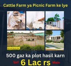 Cattle and Farmhouse Land 0