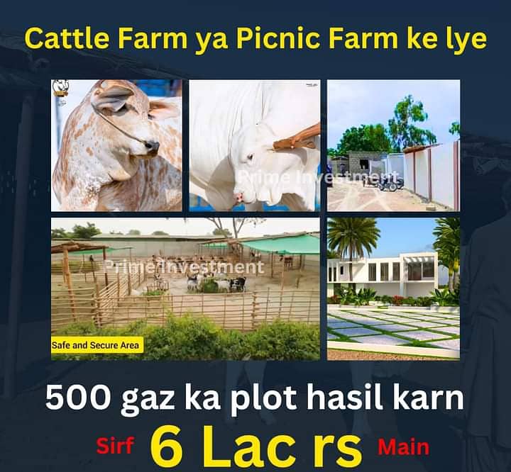 Cattle and Farmhouse Land 0