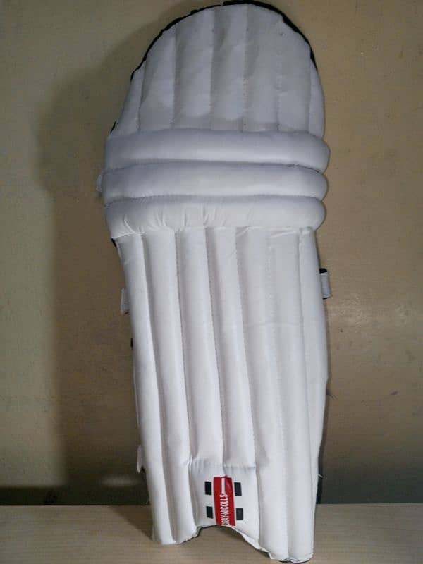 Cricket Kit 6