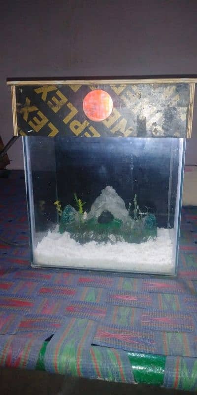 fish aquarium 2