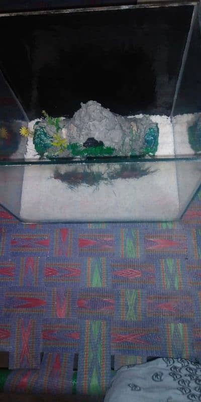 fish aquarium 4