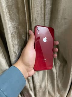 iPhone XR