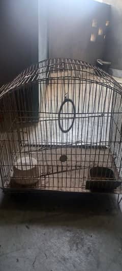 Parrots cage 0